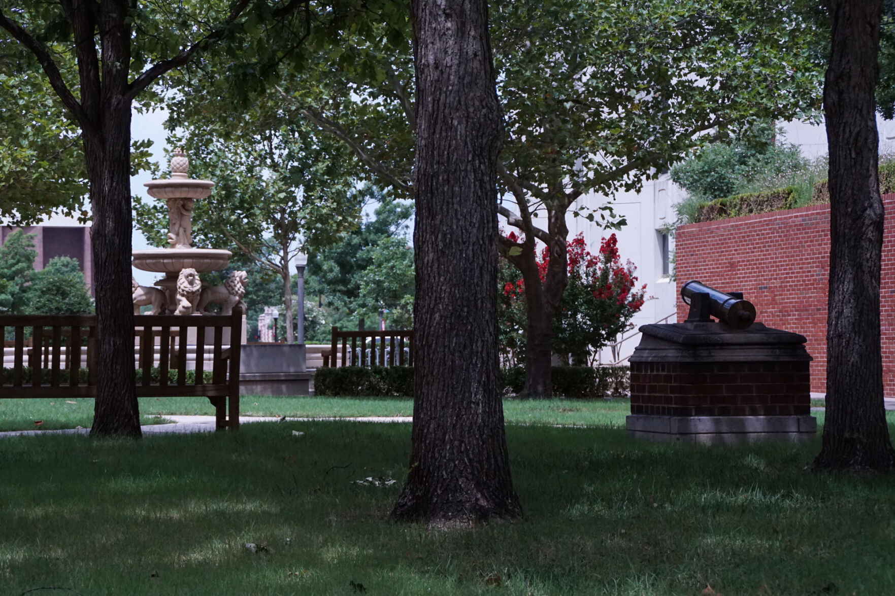 Cannon and fountain